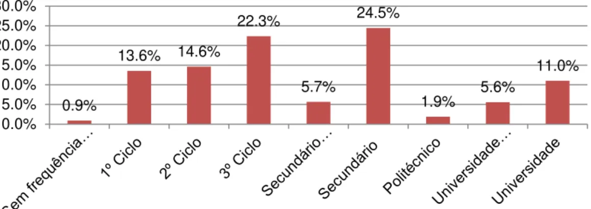 Figura D -Escolaridade 