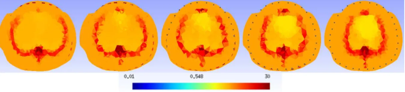 Figura 4.10: Imagem média do atlas anatômico com 5 tecidos interpolada na malha de elementos finitos.