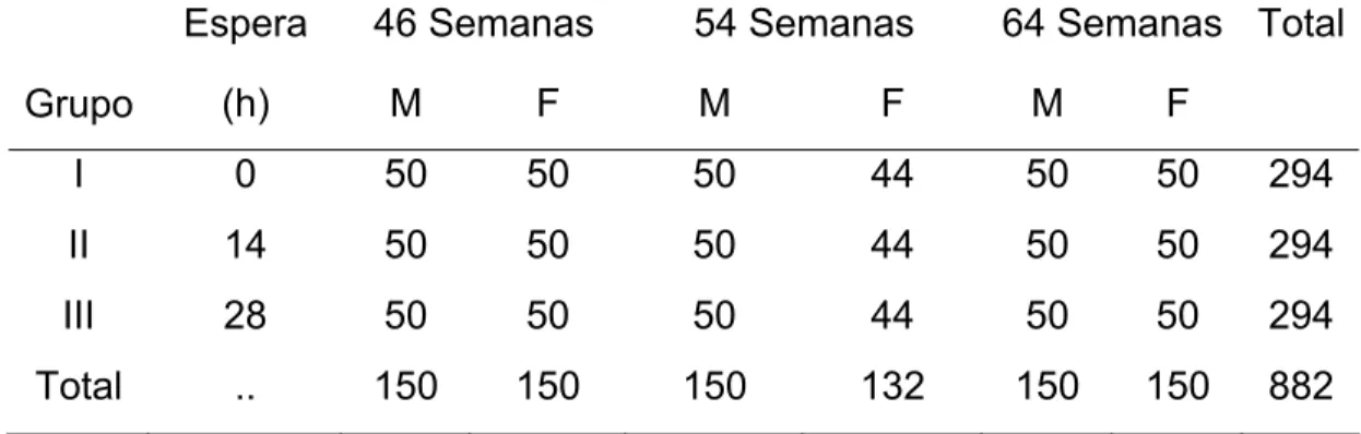 Tabela 6 –  Formação dos grupos e distribuição dos pintos conforme o tempo de espera,  sexagem e idade das matrizes 