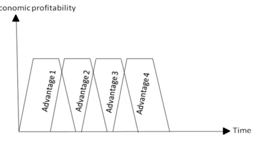 Figure 4  –  Advantage Sustenance 