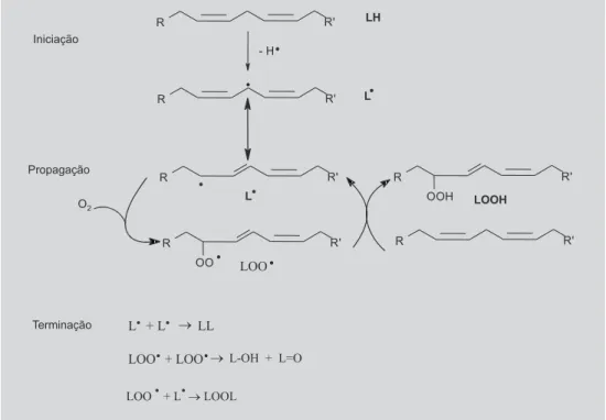Figura 4: Etapas do processo de peroxidação lipídica. 