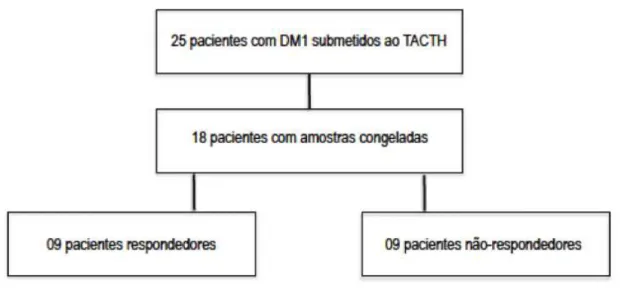 Figura  6.     Organograma dos pacientes com DM1 (grupo experimental) submetidos  ao TACTH entre 2004 e 2010 e a descrição dos pacientes utilizados nesse estudo