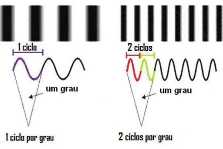 Figura 7 - Frequência espacial é a medida do número de ciclos em um grau de  ângulo  visual