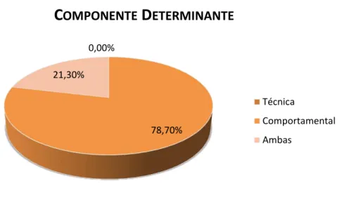 Figura 3. Componente Determinante 