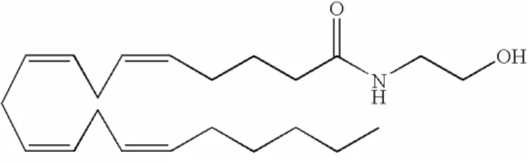 Figura 3 - Estrutura da Anandamida 