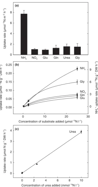 Fig. 4 Foliar  15 N uptake rates of field-grown Vriesea gigantea plants  (a) and uptake kinetics of in vitro grown plants (b, c)