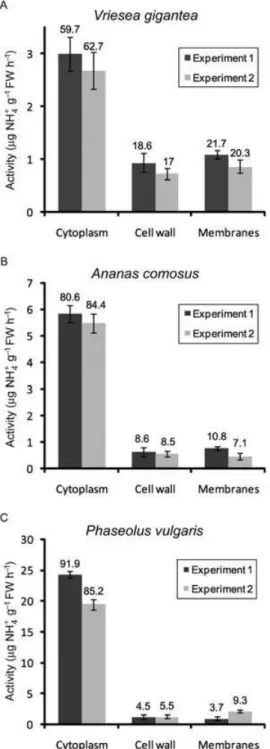 Fig. 1. Distribution of urease activities in cytoplasmic, cell wall and membrane fractions in Vriesea gigantea, Ananas comosus and Phaseolus vulgaris leaf tissues