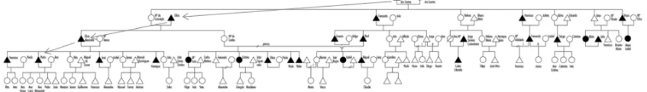 Figure 4 Dos Santos' family tree 