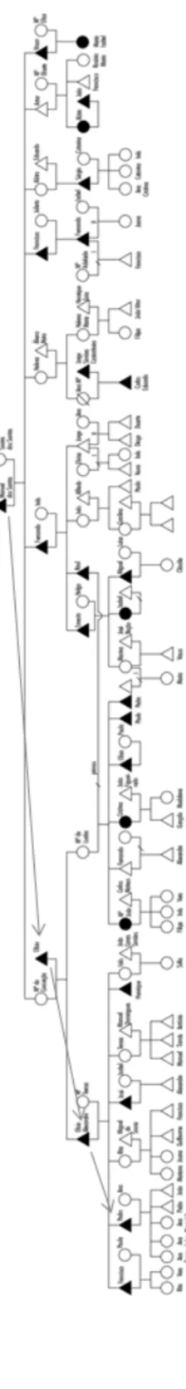 Figure 5 The Dos Santos' Family Tree 