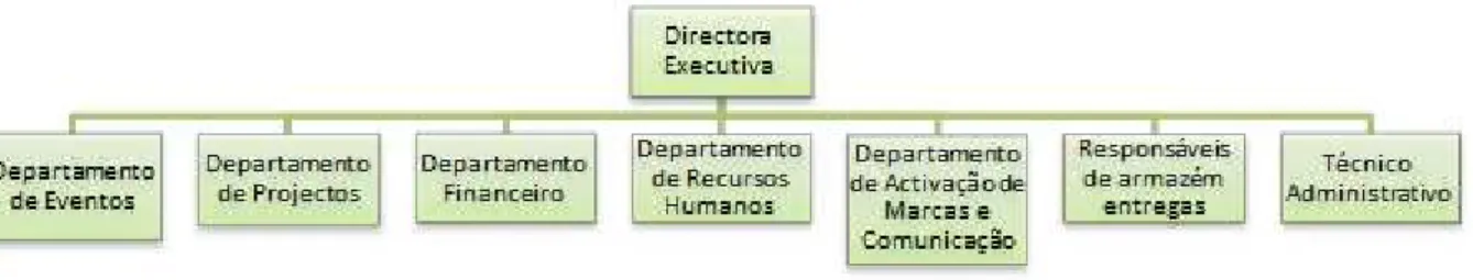 Figura 3 – Organograma com a estrutura da organização por áreas. 