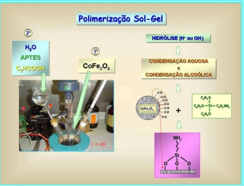 FIGURA 4.4 – Diagrama ilustrativo do processo de recobrimento das                                 nanopartículas de CoFe 2 O 4  com APTES pelo método sol-gel