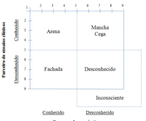 Figura 5. Representação de uma adaptação da JJ considerada neste estudo.  