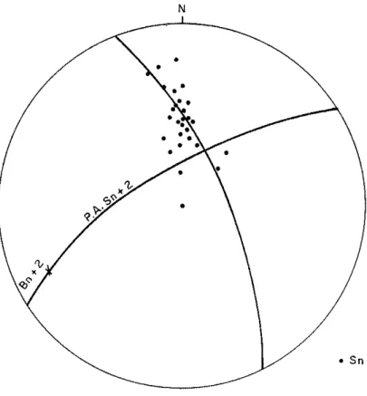 FIGURA  5.1-  Diagrama  de Schmidt-Lambert  mostrando  as  atitudes  dos  planos  de xistosidade  (Sn ) da fase de deformação  Dn  nos micaxrstos,