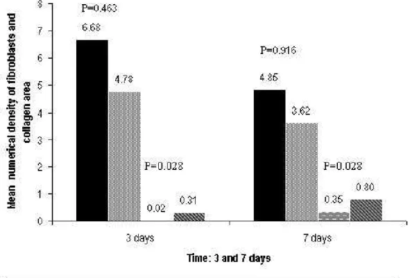 Figure 8: Comparison of the number of fibroblasts and collagen area (µm 2  x 100)  between corticosteroid-treated and control vocal folds 3 and 7 days after injury