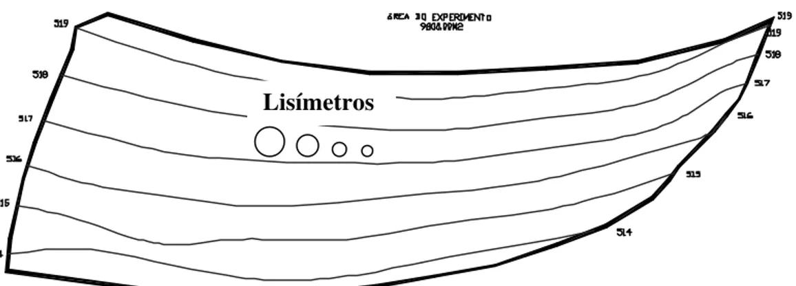 Figura 1 - Disposição dos lisímetros na área experimental 