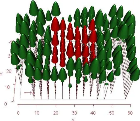 Figura  7  -  Representação  esquemática  em  escala  do  posicionamento  e  tamanho  das  árvores  presentes na parcela 1