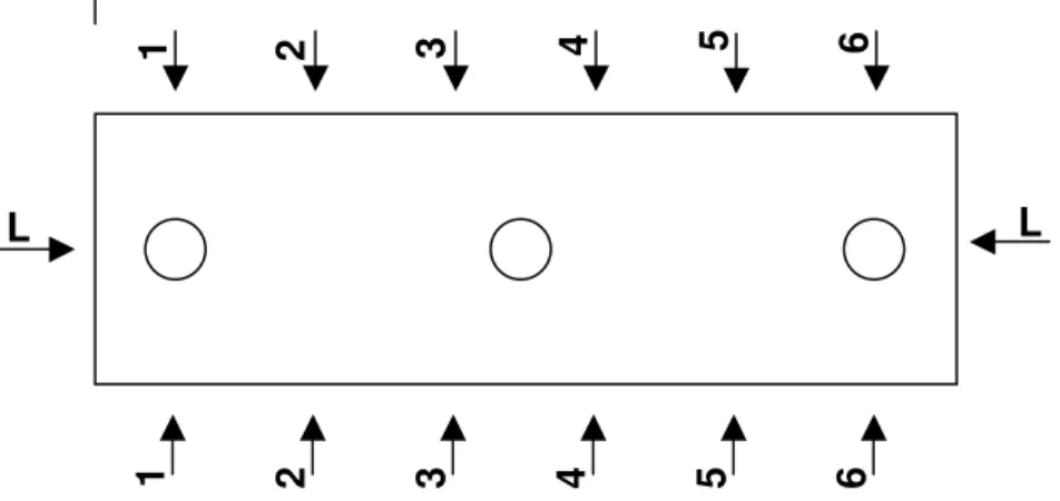 Figura 11-  Planta baixa dos ambientes protegidos com a localização do corte longitudinal  (L-L) e dos cortes transversais C1, C2, C3, C4, C5 e C6 