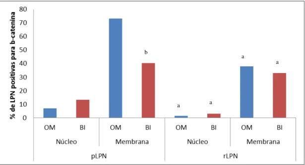 Figura 8.  Percentual de LPN positivas de fígado de ratos submetidos ao modelo do hepatócito  resistente  e  trat ados  com  β -ionona  ou  óleo  de  milho  na  etapa  de  promoção  da  hepatocarcinogênese  para  β-catenina  no  Ponto  2  (P2  =  21  dias 