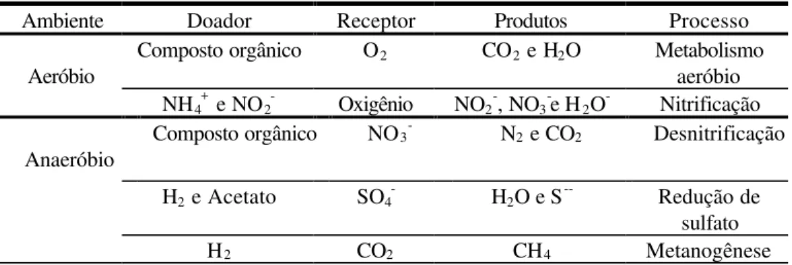 Tabela 3. 1– Doadores e receptores de elétrons em ambiente aeróbio e anaeróbio 