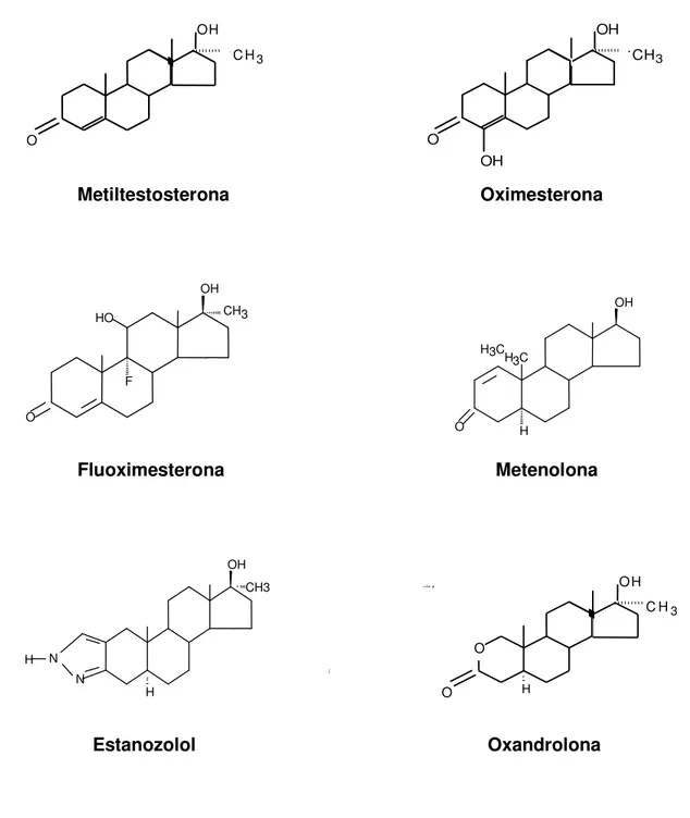 FIGURA 2 – Estrutura química dos principais esteróides anabólicos 