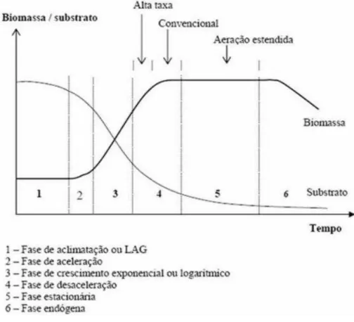 Figura 8 - Curva de crescimento microbiano e uso do substrato em função do tempo 