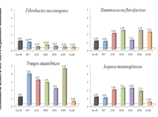 Figura 3.1  –  Variação na Abundância Relativa das populações de Fibrobacter succinogenes, Ruminococcus  flavefaciens,  fungos  anaeróbicos  e  arqueas  metanogênicas  após  24  h  de  incubação  com  base  no  método 2 -ΔΔCt onde ΔΔCt é a variação de &#34