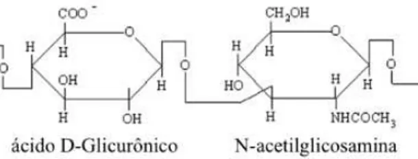 Figura 1 - Estrutura química do AH (adaptado de Necas et al. 104 )