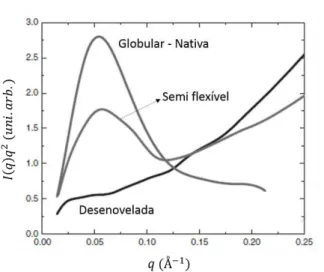 Figura 8 - Representação de Kratky para três conformações da BSA (extraido de Barbosa e col