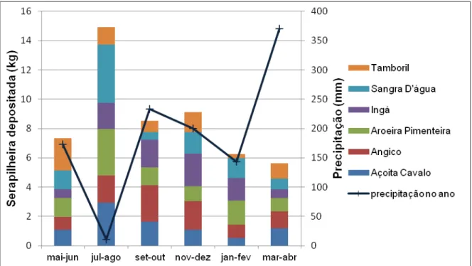 Figura 5 - Somatória de produção de serapilheira das 6  espécies estudadas [Anadenanthera  colubrina (angico), Enterolobium contortisiliquum (tamboril), Inga laurina (ingá), Luehea  divaricata (açoita cavalo), Croton urucurana (sangra d’água), Schinus tere