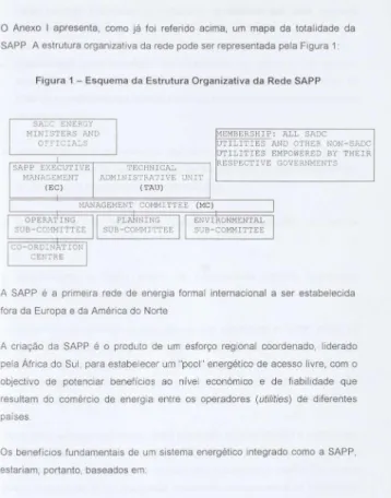 Figura 1 - Esquema da Estrutura Organizativa da Rede SAPP 