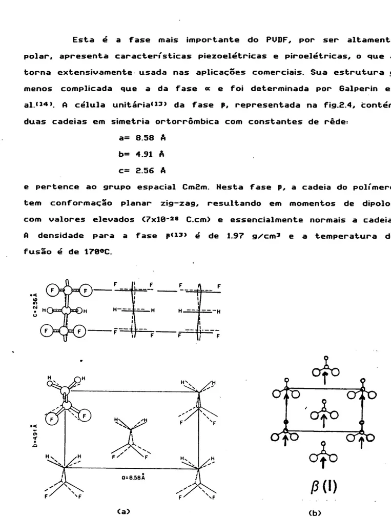 Figura 2.4 : PVDFfase , em (a) célula unitária e (b) projeção no plano ab, com as set.as indicando a orient.ação dos dipolos na cadeia.