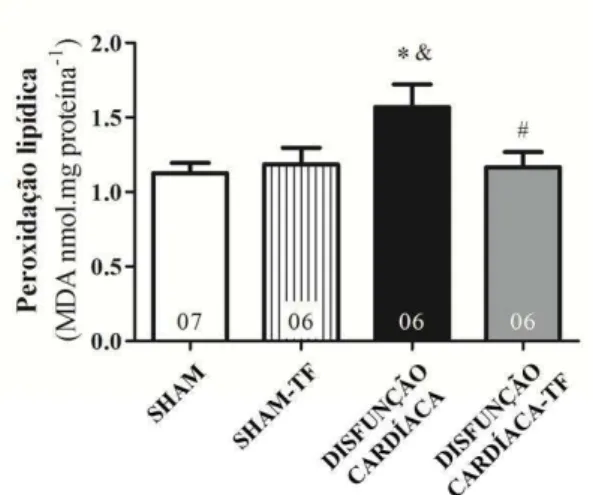 Figura 13 – Peroxidação lipídica na disfunção cardíaca: efeitos do treinamento físico aeróbico