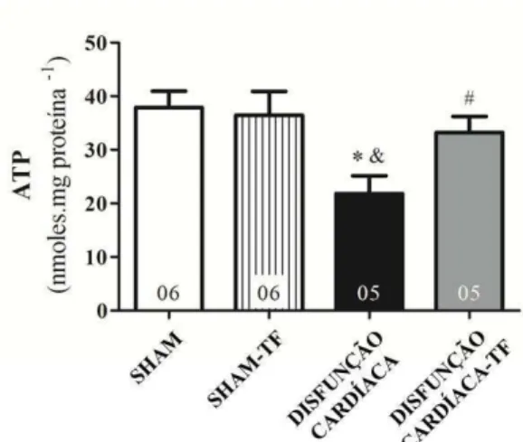 Figura 17 – Concentração de ATP na disfunção cardíaca: efeitos do treinamento físico aeróbico