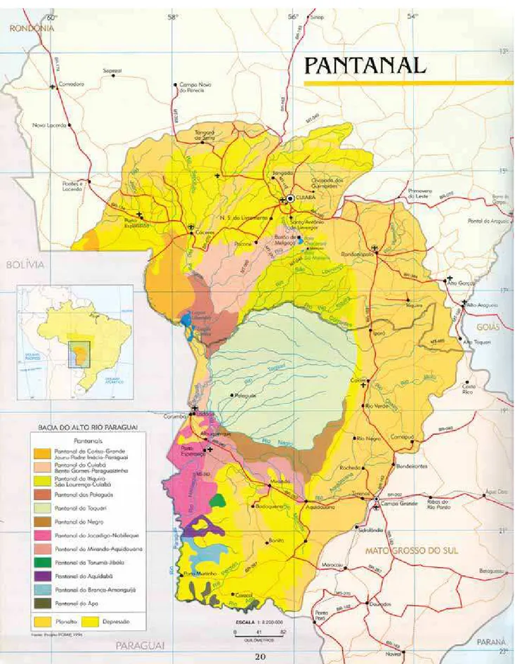 Figura 3. Os Pantanais Mato-grossenses.