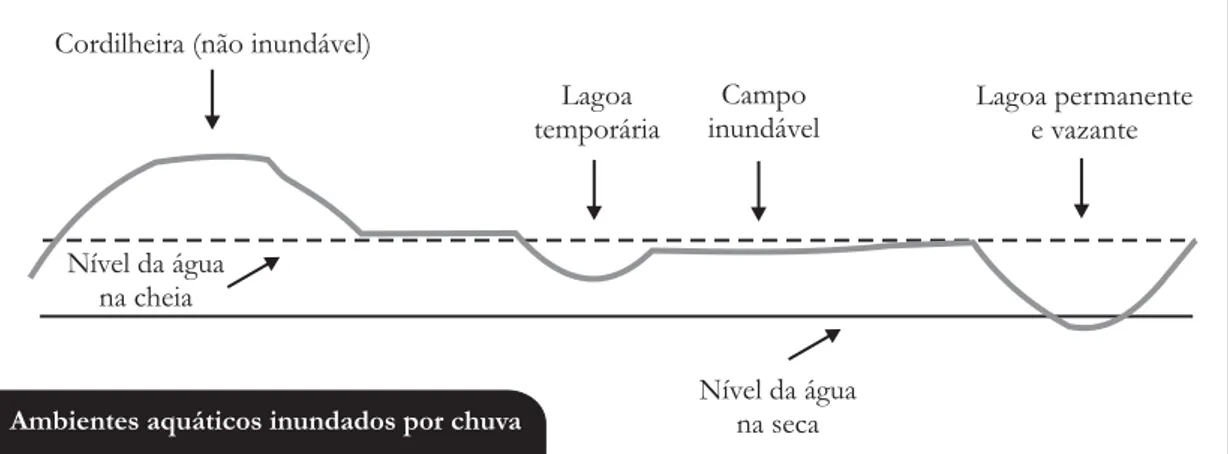 Figura 4. Esboço Simples da Morfodinâmica Pantaneira.