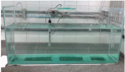 Figura 8: Experimento de decaimento do fenantreno na água salgada, em aquário de vidro (120  L)