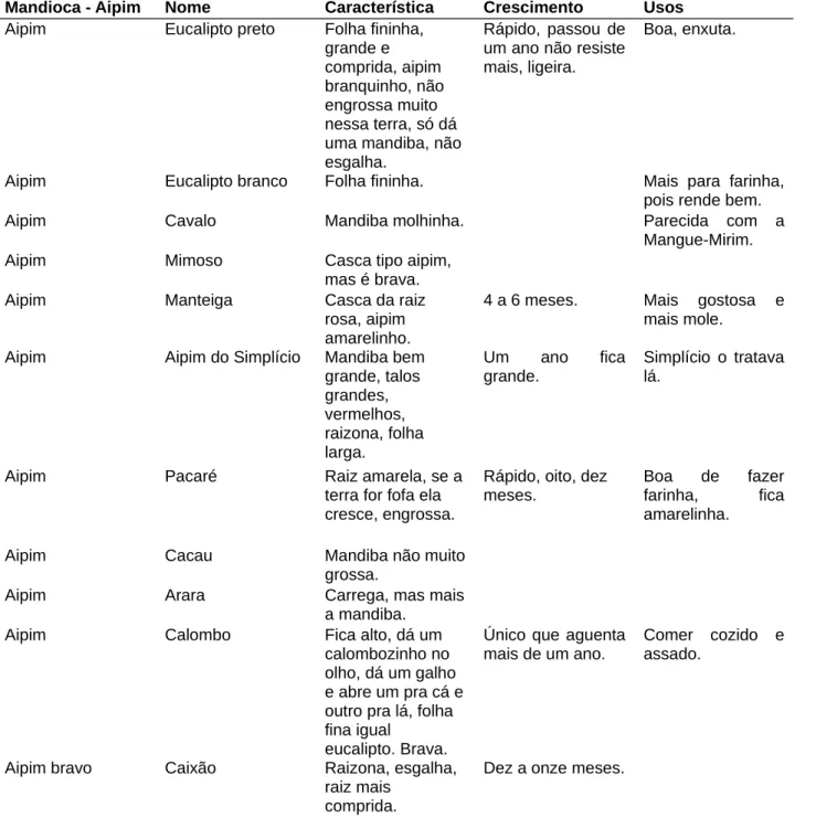 Tabela 1 - Descrição das características, crescimento e usos das variedades de mandiocas e aipins  registrados em Barra Velha