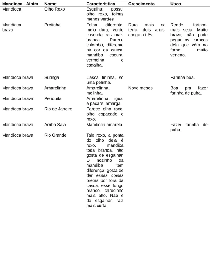 Tabela 1 - Descrição das características, crescimento e usos das variedades de mandiocas e aipins  registrados em Barra Velha