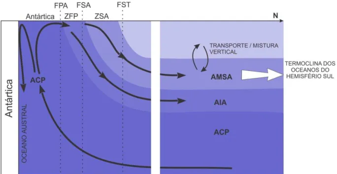 Figura  5  –   Representação  esquemática  da  ventilação  e  subducção  de  massas  de  água  no  Oceano  Austral (Adaptado de Anderson et al., 2009)