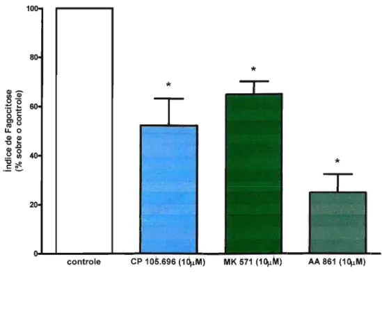 Figura 1: Importância dos leucotrienos end6genos na fagocitose via FcyR. Macrófagos alveolares foram incubados com antagonista de BLT 1 (CP 105,696), antagonista de CysLT 1 (MK 571) e inibidor de síntese de leucotrienos (AA 861)