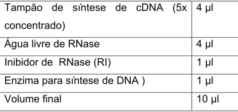 Tabela 3- Componentes utilizados para a síntese de cDNA.   