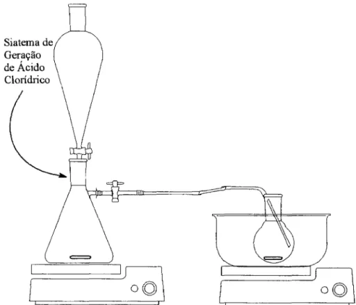 Figura 3.2 - Representação esquemática simplificada do sistema de geração de ácido clorídrico gasoso.