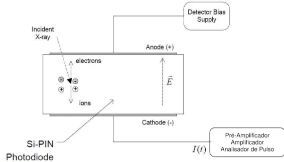 Figura 3.17 – Esboço ilustrando o funcionamento de um fotodiodo convencional (modificado de  Amptek)