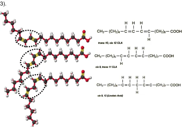 Figura 1: Estrutura dos isômeros de CLA trans-10, cis-12 (10t, 12c) e cis-9, trans-11 (9c, 11t)  e do ácido linoléico