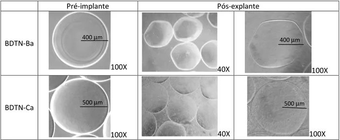 Figura 13: Avaliação comparativa da morfologia de microcápsulas vazias produzidas com BDTN-Ca e  BDTN-Ba