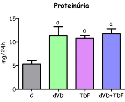 Figura  4  –  Excreção  urinária  de  proteína  de  ratos  controles  (C,  n=5),  deficientes  em  vitamina  D  (dVD,  n=6),  controles  que  receberam  Tenofovir  (TDF,  n=6)  e  deficientes  em  vitamina  D  que  receberam  Tenofovir  (dVD+TDF, n=6)