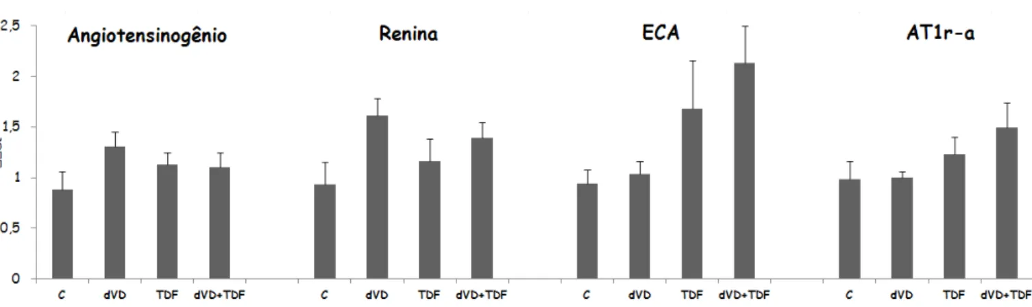 Figura 13 – Expressão gênica dos componentes do SRAA realizada pela técnica de qPCR de ratos controles (C, n=5), deficientes  em vitamina D (dVD, n=6), controles que receberam Tenofovir (TDF, n=5) e deficientes em vitamina D que receberam Tenofovir  (dVD+T