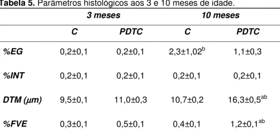 Tabela 5. Parâmetros histológicos aos 3 e 10 meses de idade.  3 meses  10 meses  C  PDTC  C  PDTC %EG  0,2±0,1 0,2±0,1 2,3±1,02 b 1,1±0,3 %INT  0,2±0,1  0,2±0,1 0,2±0,1  0,2±0,1 DTM ( µµµµ m)  9,5±0,1  11,0±0,3  10,7±0,2  16,3±0,5 ab  %FVE  0,3±0,1  0,5±0,