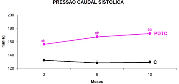 Figura 2. Pressão sistólica caudal (mmHg) dos Grupos C (controle) e PDTC (receberam PDTC  durante a lactação), ao longo do estudo