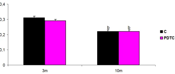 Figura 5. Gráfico referente ao peso do ventrículo esquerdo corrigido pelo peso corpóreo dos  animais dos Grupos C (controle) e PDTC (receberam PDTC durante a lactação)